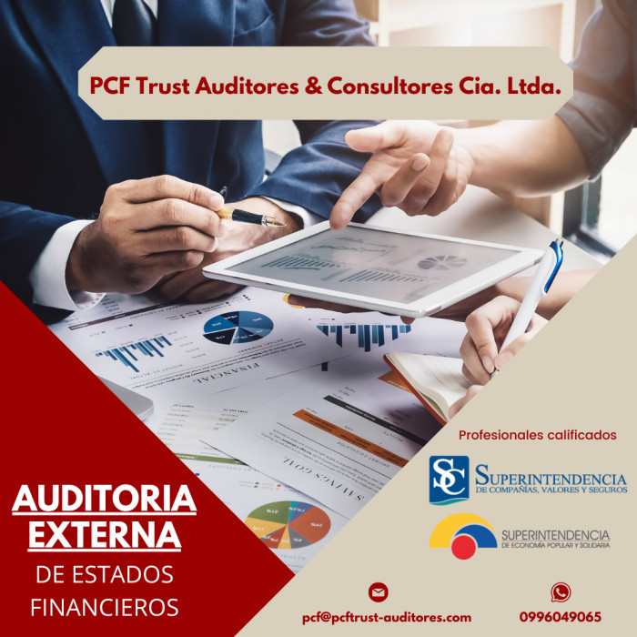 Pcftrust Auditores y Consultores